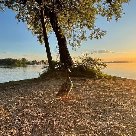 アパート Seethal-chiemseestrand