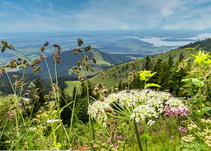 Seethal-chiemseestrand